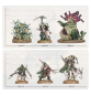 Preview: Warhammer®Age of Sigmar - Spearhead: Maggotkin of Nurgle: Bubonic Cell