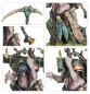 Preview: Warhammer®Age of Sigmar - Spearhead: Maggotkin of Nurgle: Bubonic Cell
