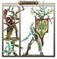 Preview: Warhammer®-Age of Sigmar: Spearhead: Sylvaneth