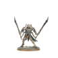 Preview: Warhammer®-Age of Sigmar: Spearhead: Ossiarch Bonereapers – Mortisan Elite
