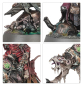 Preview: Warhammer®-Age of Sigma: Ultimatives Starterset