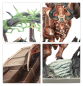 Preview: Warhammer®Age of Sigmar - Helsmiths of Hashut – Urak Taar, The First Daemonsmith