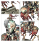 Preview: Warhammer®-Age of Sigmar: Soulblight Gravelords: Deathrattle Army Set (ENG)