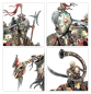 Preview: Warhammer®-Age of Sigmar: Soulblight Gravelords: Deathrattle Army Set (ENG)