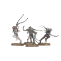 Preview: Warhammer®40.000- ADEPTA SORORITAS: Arco-Flagellants