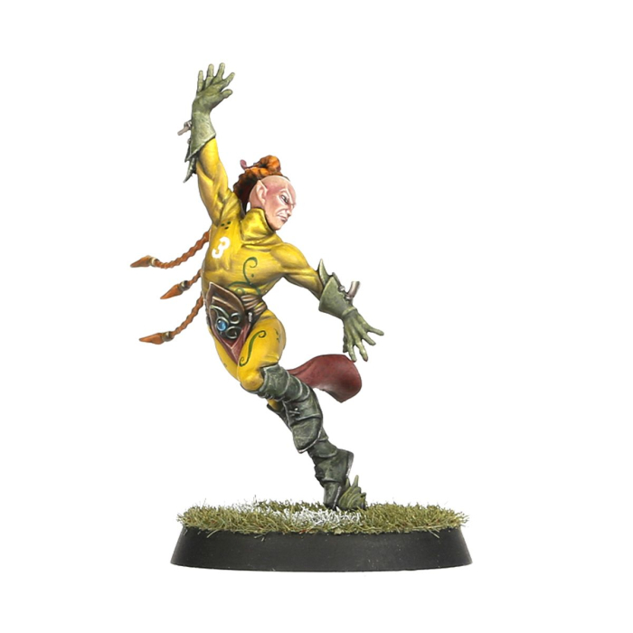 Warhammer - Blood Bowl: Team Wood Elf - The Athelorn Avengers