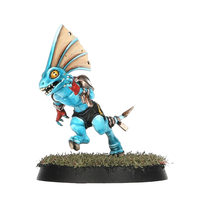 Warhammer - Blood Bowl: Lizardmen Team - Gwaka'moli Crater Gators