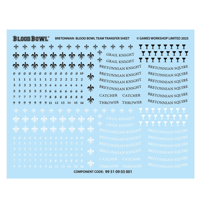 Warhammer - Blood Bowl: Bretonnian Blood Bowl Team - The Brionne Barons