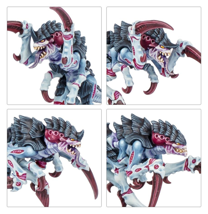 Warhammer®-40.000 - Kill Team: Typhon (Englische Version)