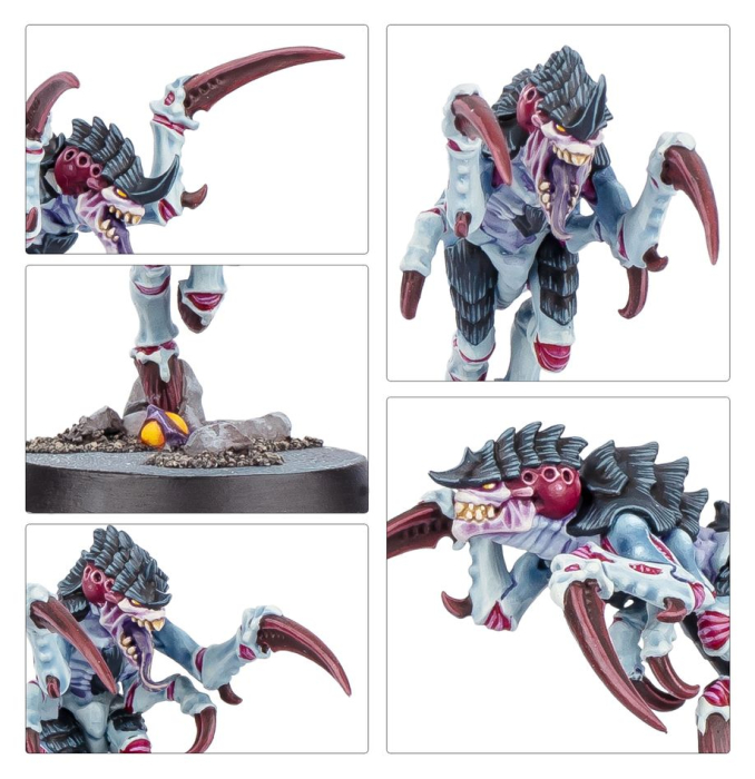 Warhammer®-40.000 - Kill Team: Typhon (Englische Version)