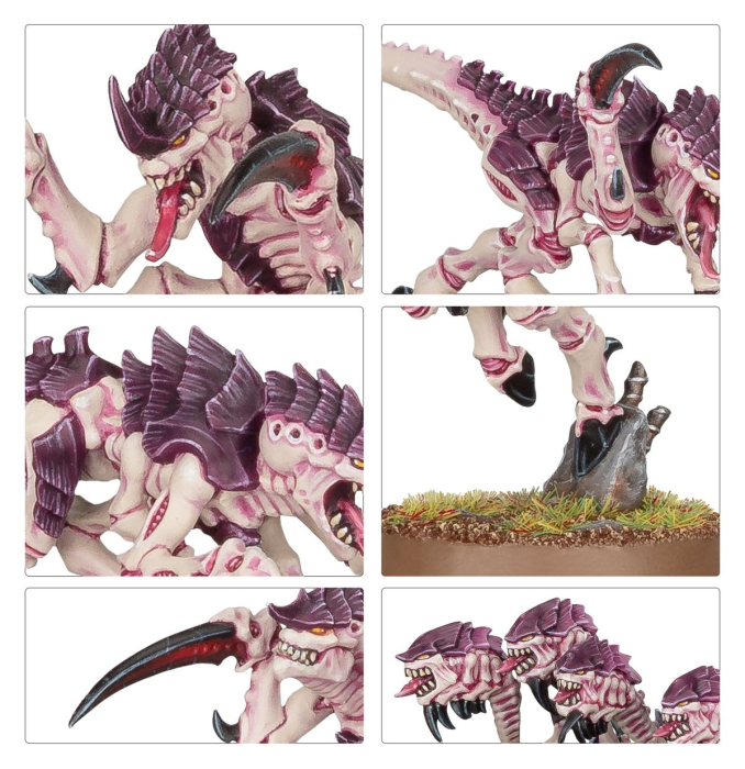 Preview: Warhammer®40.000- Tyranids: Hormagaunts