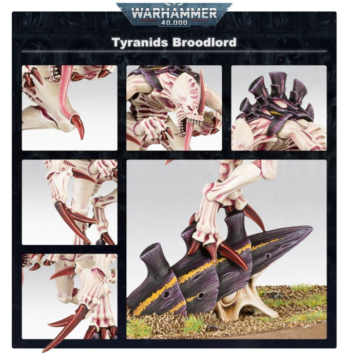 Preview: Warhammer®40.000- Tyranids: Broodlord