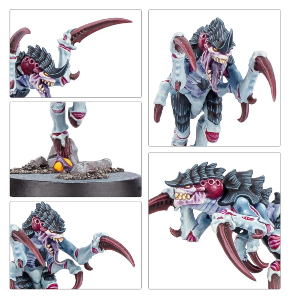 Warhammer®-40.000 - Kill Team: Typhon (Englische Version)