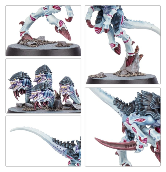 Warhammer®-40.000 - Kill Team: Typhon (Englische Version)